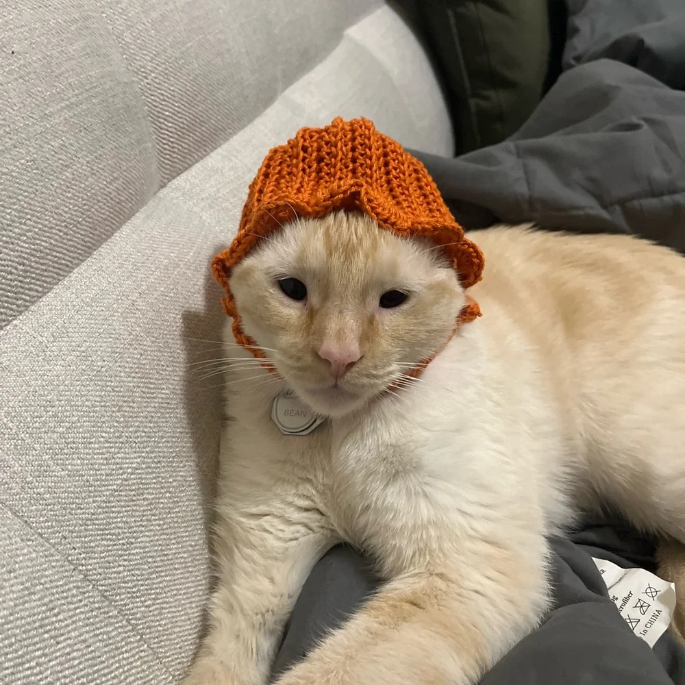 Custom crochet pet or baby hat!